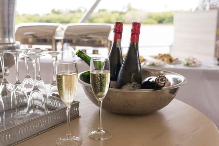 Victoria Falls: Zambezi River Lunch Cruise with Transfers - Who Will Love This Cruise?