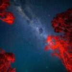 Vincentia: Jervis Bay Beach Stargazing with an Expert - Why This Tour Is Worth Considering