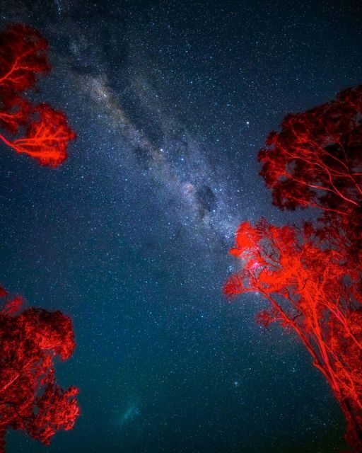 Vincentia: Jervis Bay Beach Stargazing with an Expert - Why This Tour Is Worth Considering