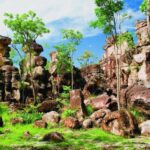 vip backpacker Litchfield - Who Will Love This Tour?