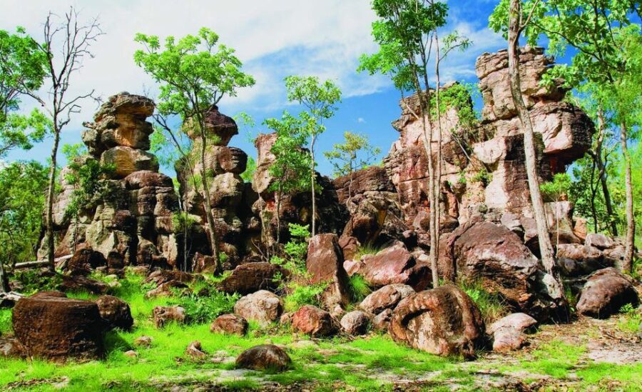 vip backpacker Litchfield - Who Will Love This Tour?