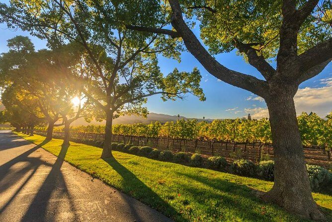 VIP Swan Valley Wine Tour - Premium Small Group Wine & Gourmet Experience - Transport, Group Size, and Overall Value