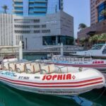 Visions of Dubai City Tour with Speedboat and Dubai Frame - What’s Included & Practical Tips