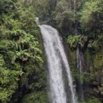 Visit to the Amber Mountain: for cruise ships in Antsiranana - Practical Tips for Making the Most of Your Trip