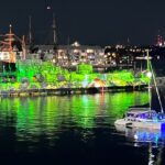 Vivid 90-Minute Sydney Harbour Catamaran Cruise with BYO Drinks - The Itinerary: What To Expect