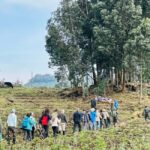 Volcanoes National Park: Dian Fossey Tomb Hike from Kigali - What to Expect: A Genuine and Respectful Experience