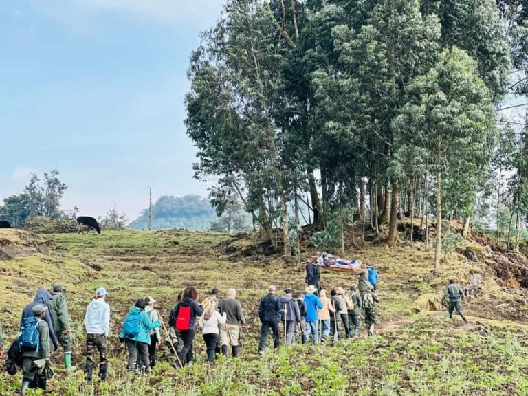 Volcanoes National Park: Dian Fossey Tomb Hike from Kigali - What to Expect: A Genuine and Respectful Experience