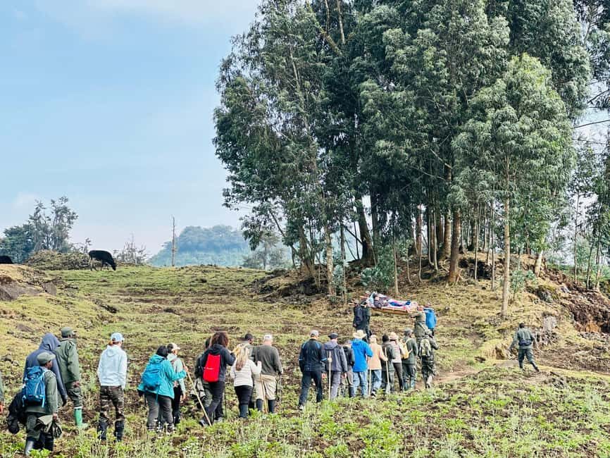 Volcanoes National Park: Dian Fossey Tomb Hike from Kigali - What to Expect: A Genuine and Respectful Experience