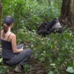 Volcanoes National Park: One-Day Bisoke Hiking Adventure - Why This Tour Offers Great Value