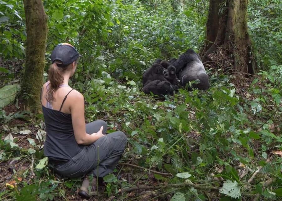 Volcanoes National Park: One-Day Bisoke Hiking Adventure - Why This Tour Offers Great Value