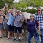 Vrede en Lust Wine Estate: 1H30M Carriage Ride & Wine Taste - The Itinerary Breakdown