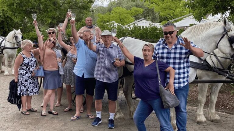 Vrede en Lust Wine Estate: 1H30M Carriage Ride & Wine Taste - The Itinerary Breakdown