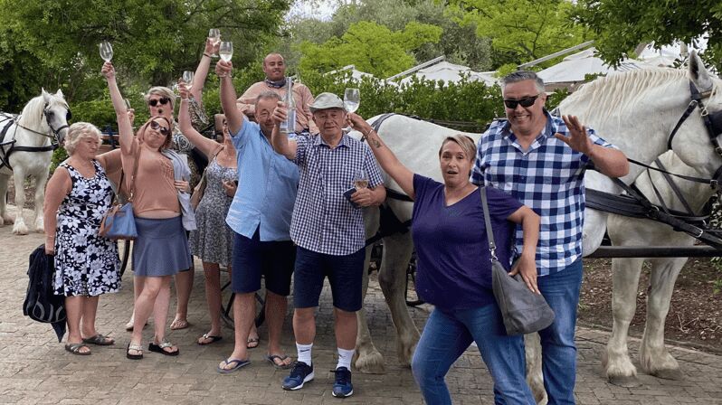 Vrede en Lust Wine Estate: 1H30M Carriage Ride & Wine Taste - The Itinerary Breakdown