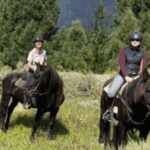 Vrede en Lust Wine Estate: 1h30m Horse Trail Ride - Who Will Love This Experience?