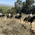 Vrede en Lust Wine Estate: 2H Horse Trail - An Authentic Ride Through the Heart of Franchhoek