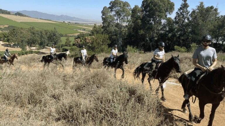 Vrede en Lust Wine Estate: 2H Horse Trail - An Authentic Ride Through the Heart of Franchhoek