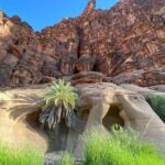 Wadi Al Disah Day Tour From Al Ula - Who Will Love This Tour?