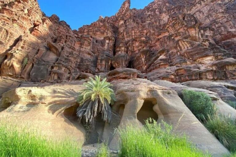 Wadi Al Disah Day Tour From Al Ula - Who Will Love This Tour?