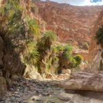 Wadi Ghuweir Full-Day Hike with Local Guide & Lunch. - Exploring Wadi Ghuweir: An Unforgettable Full-Day Trek