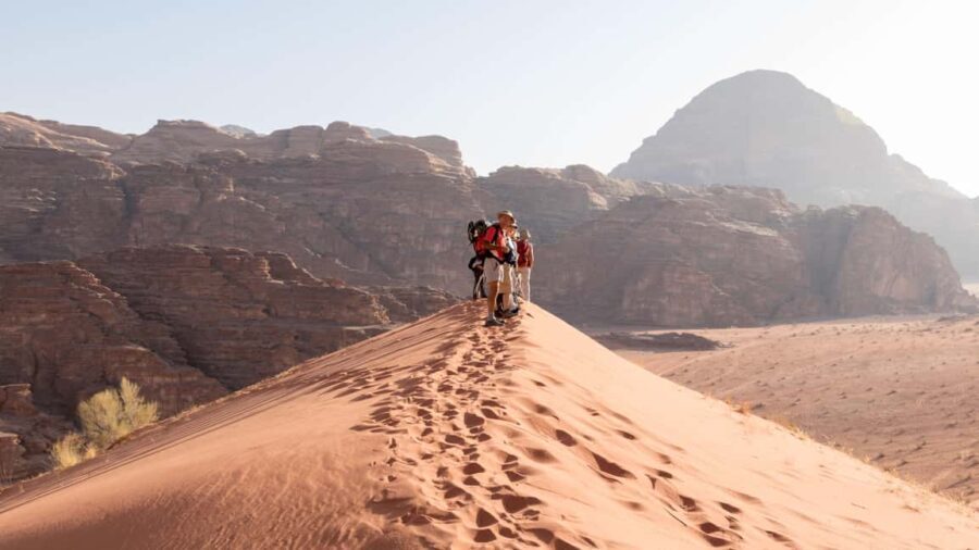 Wadi Rum: 10 Hour Jeep Tour Pass, Camel, Sandbording & Lunch - Who Is This Tour Best For?