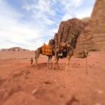 Wadi Rum: Camel Ride with tea and Bedouin Guide - Authenticity and Guide Experience