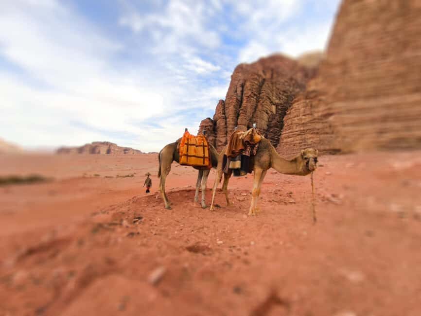 Wadi Rum: Camel Ride with tea and Bedouin Guide - Authenticity and Guide Experience