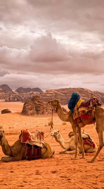 Wadi Rum: Full-Day Jeep Tour with Lunch - Practical Details and Tips for Your Tour Experience