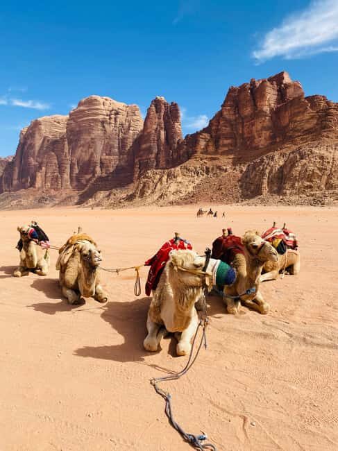 Wadi Rum: jeep tour, bed, breakfast and dinner - FAQ