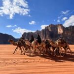 Wadi Rum, Jordan: 4x4 Desert Tour with Bedouin Cooking Class - The Sum Up
