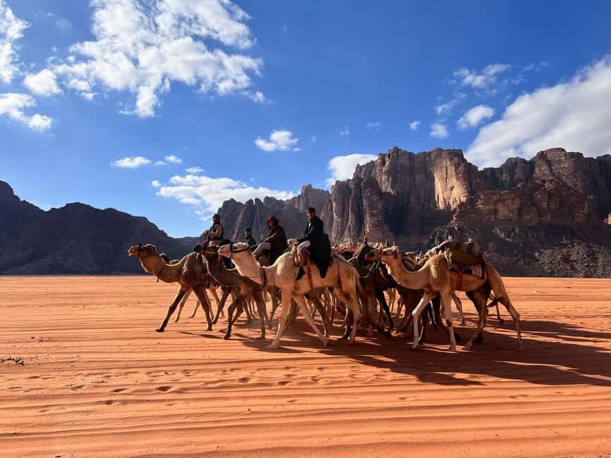 Wadi Rum, Jordan: 4x4 Desert Tour with Bedouin Cooking Class - The Sum Up