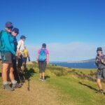Waiheke Island 5 Day Self Guided Walking Adventure - The Itinerary: What Can You Expect?