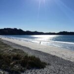 Waiheke Island Bush & Beach Walk - Why Guides Make All the Difference