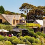 Waiheke Island Day Tour: Ziplining, Wine Tasting & Vineyard Lunch - Introducing Waiheke Island’s Highlights