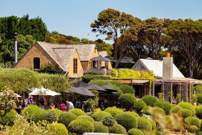 Waiheke Island Day Tour: Ziplining, Wine Tasting & Vineyard Lunch - Introducing Waiheke Island’s Highlights