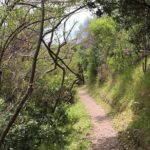 Waiheke Island Double Headland Coastal Walk - FAQ About the Waiheke Island Double Headland Coastal Walk
