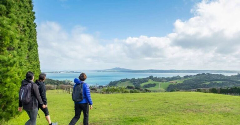 Waiheke Island: Double Headland Premium Guided Coastal Walk - The Views and Wildlife