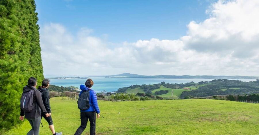 Waiheke Island: Double Headland Premium Guided Coastal Walk - The Views and Wildlife