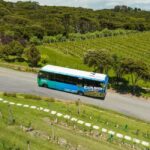 Waiheke Island: Ferry & Hop-On Hop-Off Explorer Bus Tickets - The Hop-On Hop-Off Bus Experience