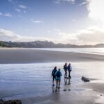 Waiheke Island: Forest and Beach Premium Guided Walk - Authentic Experiences Based on Reviews