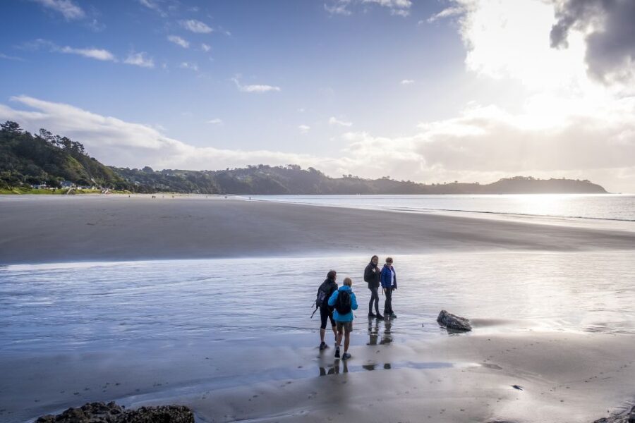 Waiheke Island: Forest and Beach Premium Guided Walk - Authentic Experiences Based on Reviews