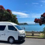 Waiheke Island Half Day Scenic Wine and Lunch - Key Points