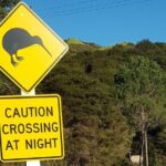Waiheke Island Private Tours - Breaking Down the Itinerary