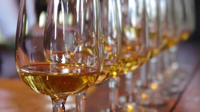 Waiheke Island: Scenic PREMIUM Wine Tour. Max 11 clients - FAQs