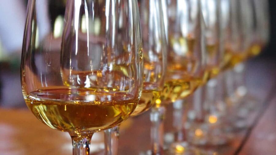 Waiheke Island: Scenic PREMIUM Wine Tour. Max 11 clients - FAQs