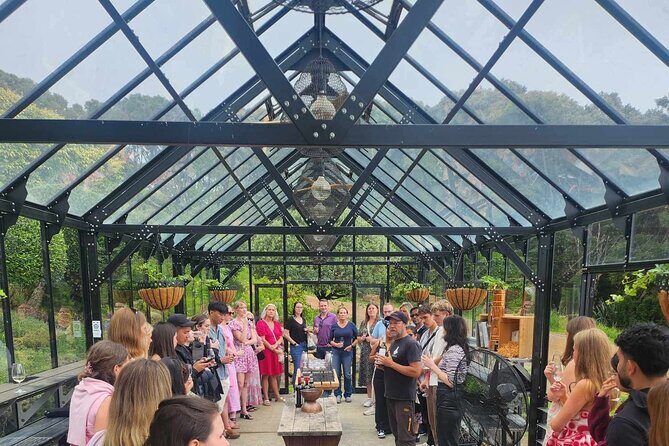 Waiheke Island Scenic Wine Tour with Gourmet Beachfront Lunch - The Itinerary Breakdown: What to Expect