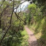 Waiheke Island Vineyards and Bush Walk - Practical Details and Tips