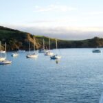 Waiheke Wine and Dine - Batch Winery - The Value of This Tour