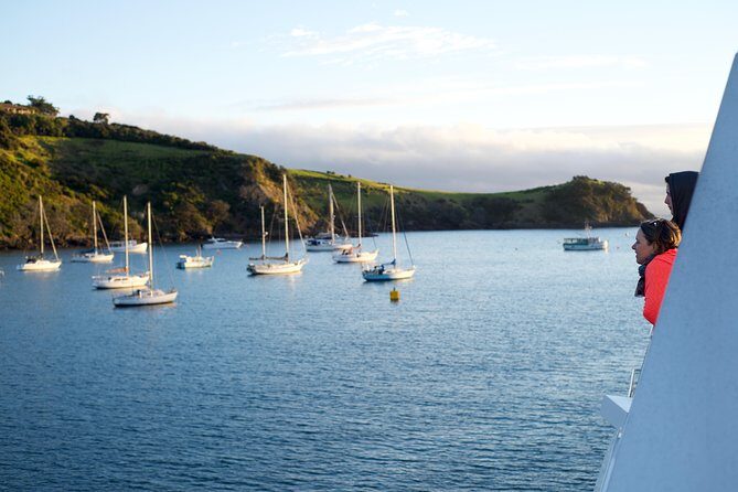 Waiheke Wine and Dine - Batch Winery - The Value of This Tour