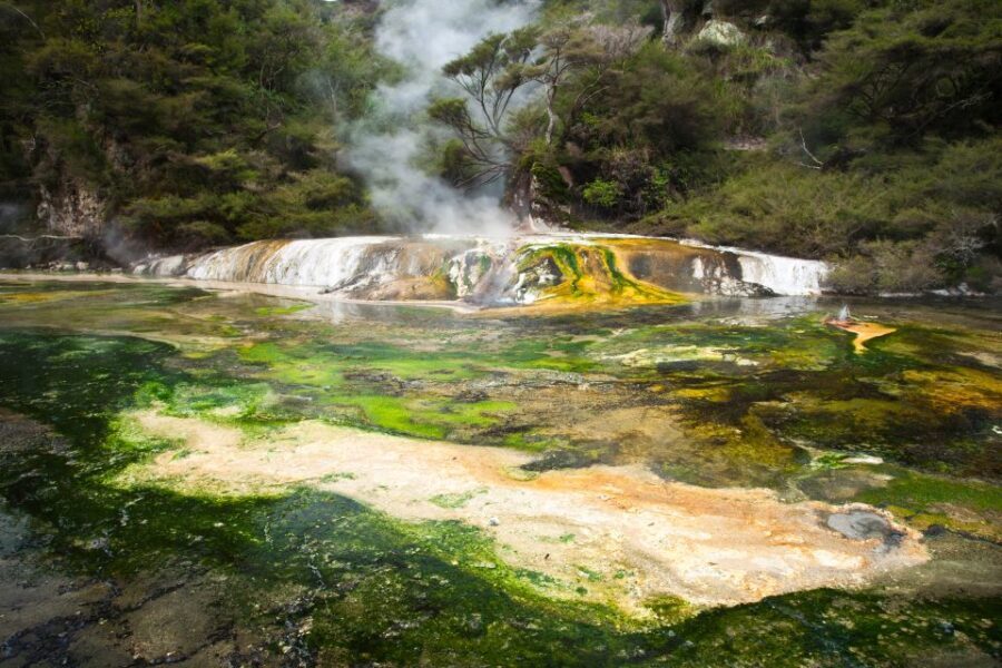 Waimangu: Volcanic Valley Walk and Lake Rotomahana Cruise - The Boat Cruise: Serenity on Lake Rotomahana