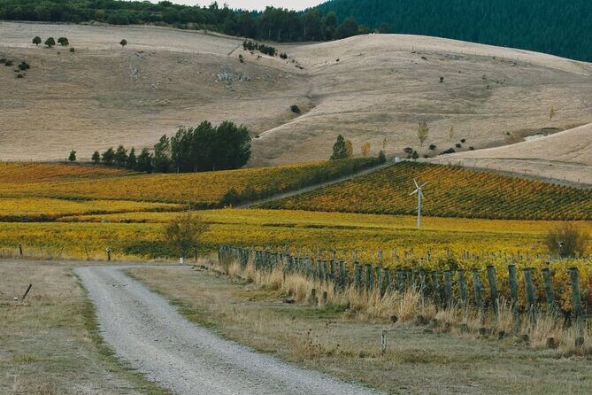 Waipara Valley Winery Tour Wine Tastings and Scenic Views - The Advantages of a Guided, Small-Group Tour